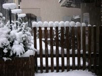 bormio3_101.jpg