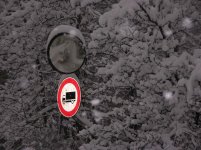 bormio1_232.jpg