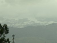 img_0576_804.jpg