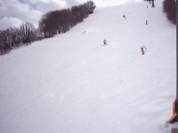 image0072_121.jpg