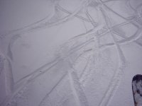 image0039_228.jpg