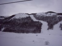 image0011_213.jpg