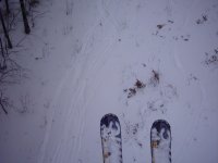 image0026_379.jpg