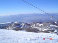 dsc03965_436.jpg