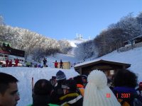 dsc03956_181.jpg