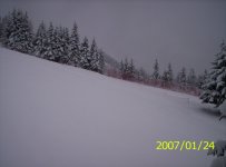 casola_1_949.jpg