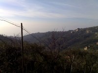 03022007091_139.jpg