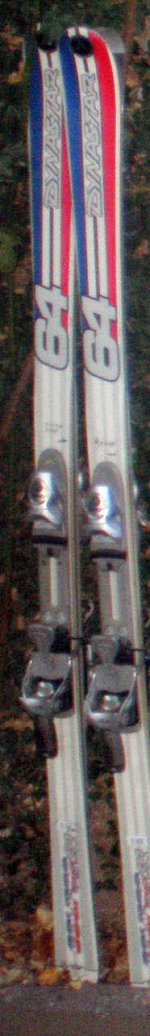 dynastar_169.jpg