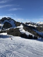 699B5804-0AF4-4867-BDE6-6C52455E3B9C.jpeg