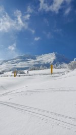 20230126_123925.jpg