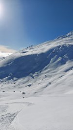 20230126_105247.jpg