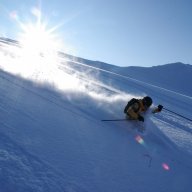 fedePowder