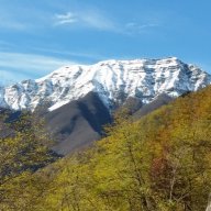Scivolatore