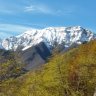Scivolatore