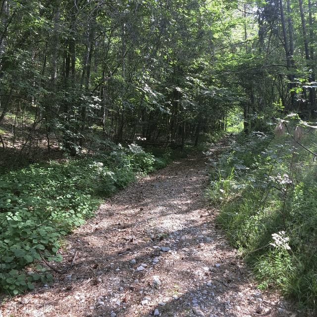 IMG_0016_zpsa3a3d389.jpg