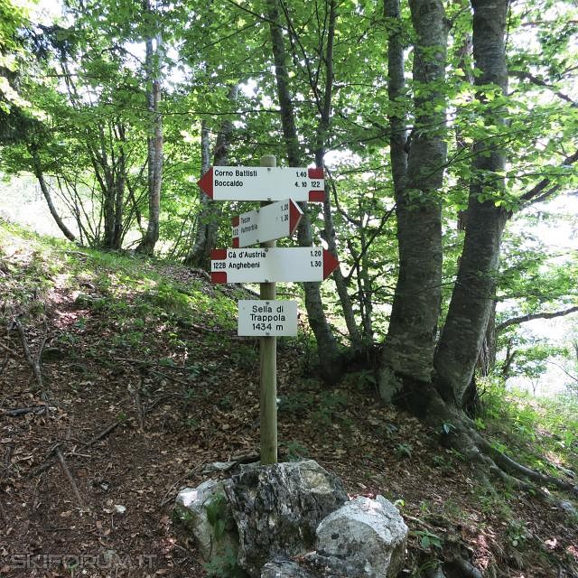 IMG_0030_zps389e7e47.jpg