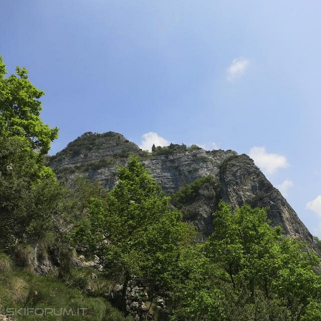 IMG_0052_zps520ee3ee.jpg