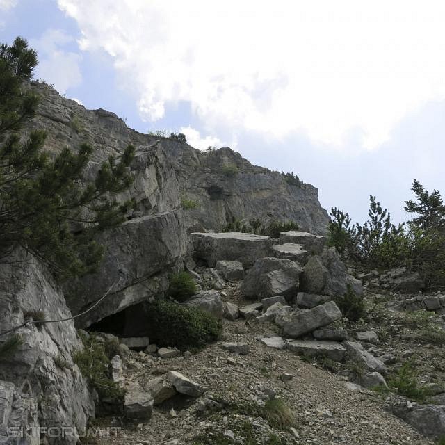 IMG_0096_zps3d0f70d6.jpg
