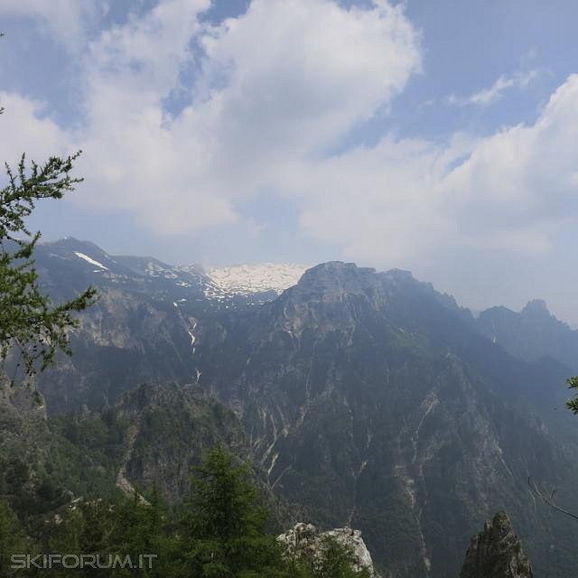 IMG_0103_zps4d645952.jpg