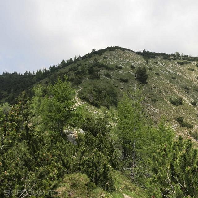 IMG_0109_zps598c0587.jpg