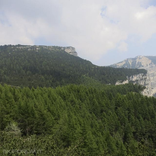 IMG_0122_zps25e09bb2.jpg