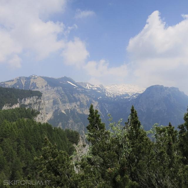 IMG_0123_zpsa0018879.jpg