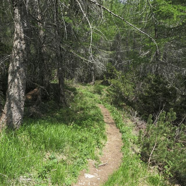 IMG_0125_zps680e1347.jpg
