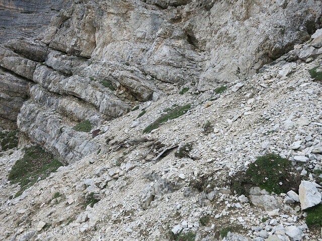 IMG_9577_zpsojo08vvs.jpg