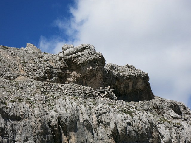 IMG_9683_zpskqmhddup.jpg