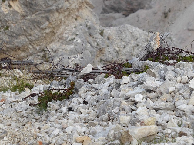P1010432.jpg