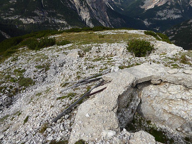 P1010444.jpg