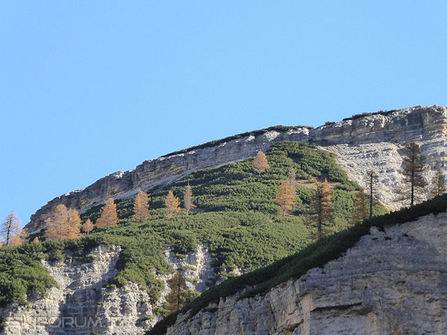 P1020943.jpg