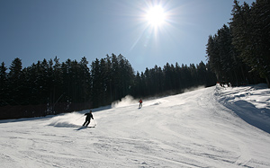 Sciare in Val di Fiemme