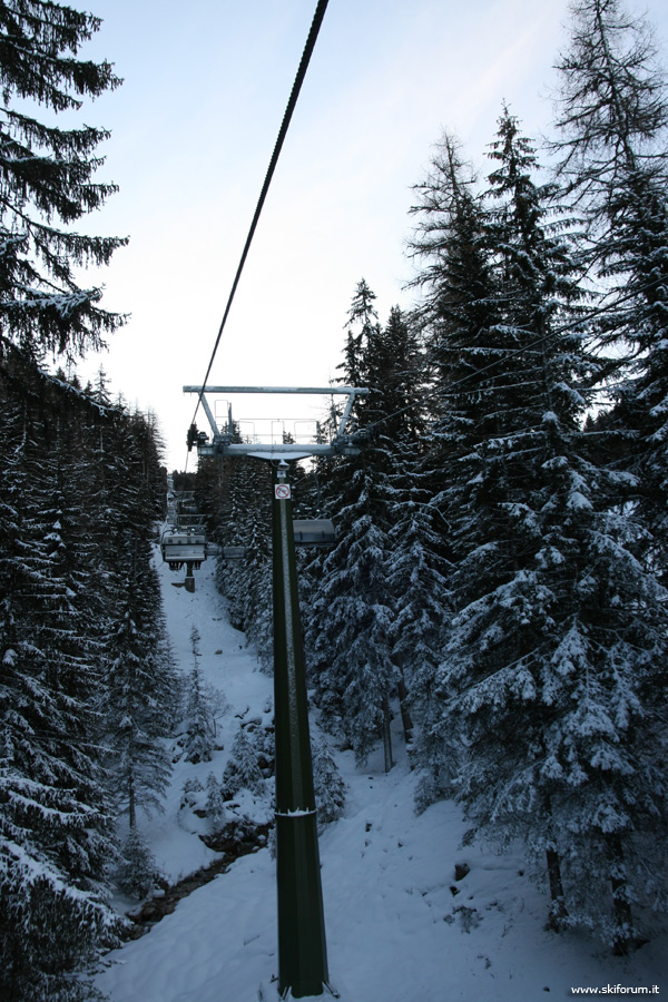tra bosco innevato