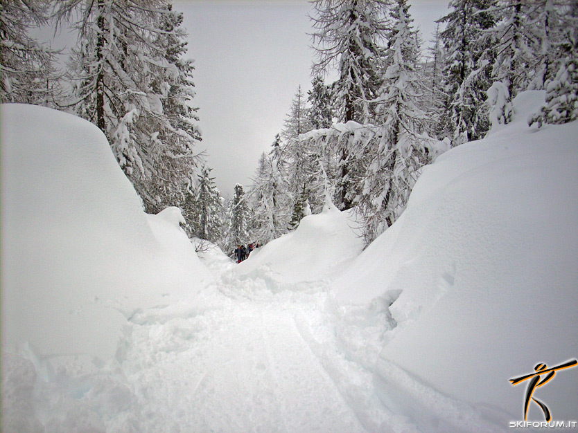immagine scialpinismo cortina d'Ampezzo