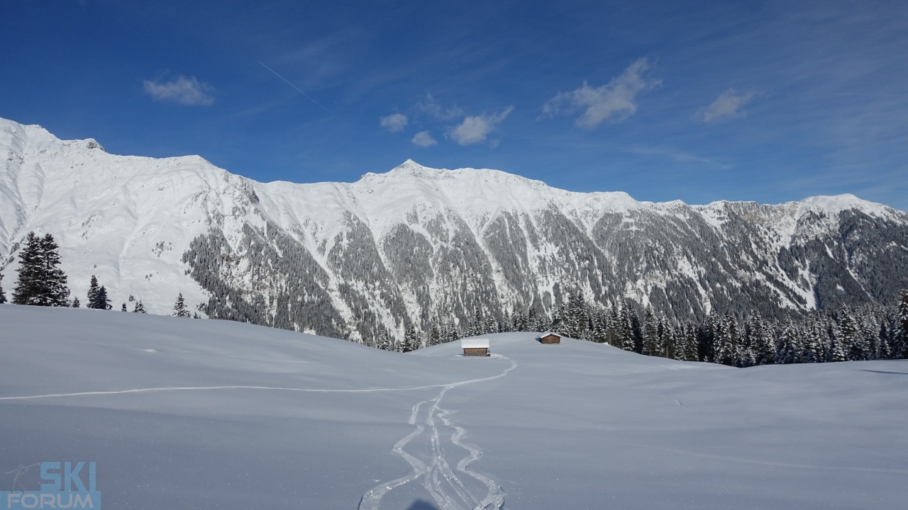 8768-discesa-campo-aperto.jpg