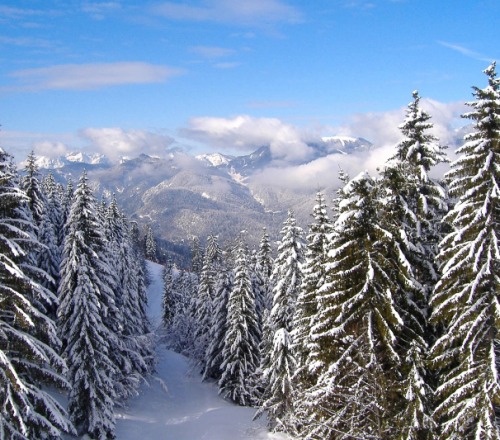 Tarvisio - Monte Lussari