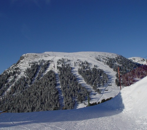 Pampeago nello Ski Center Latemar