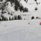 neve in pista