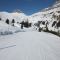 pista alpenrose