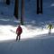 pista facile all'Alpe Cermis