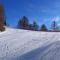 pista curvone