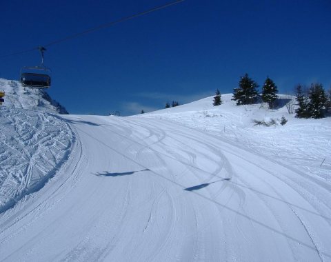 Piste da discesa