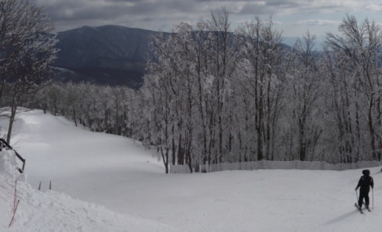 Panoramica