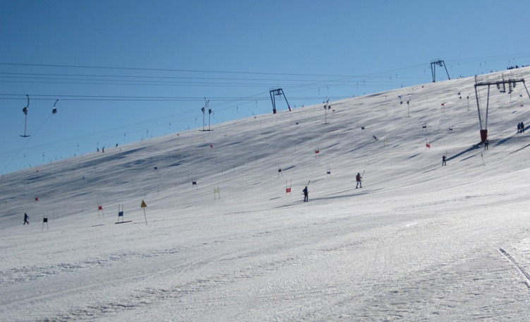 Sci estivo