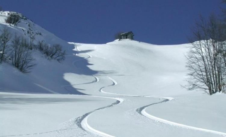 Freeride Campitello Matese