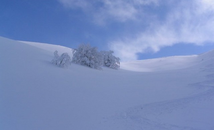 Freeride Campitello Matese