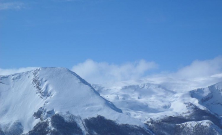 Velino