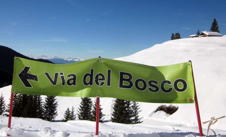 anteprima Via del Bosco all'Alpe Cermis: una bella passeggiata tra i boschi e gli animali della Val di Fiemme