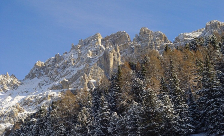 Dolomiti